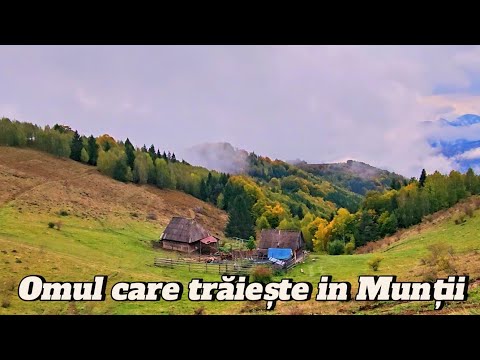 NEA GHEORGHE DIN MUNȚII APUSENI 🏔️ OMUL CARE TRĂIEȘTE IZOLAT LA COTA 1200M | EP. 64 ✅