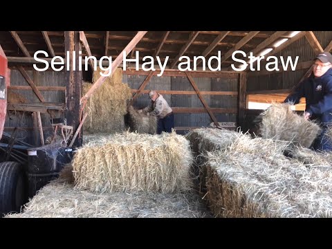Selling Hay and Straw