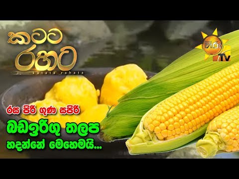 Hiru TV