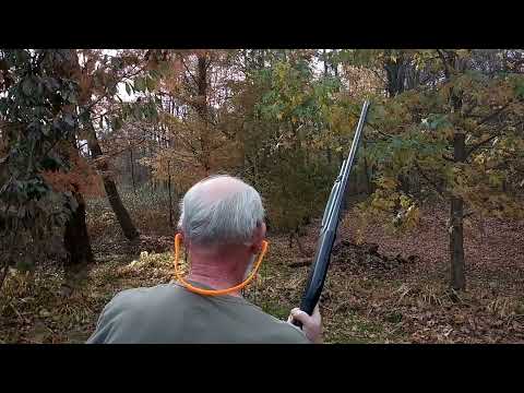 Don't mess with a shotgun.