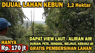 Download lagu TERJUAL Lahan Kebun 1,2 Hektar Murah, Kebun Durian, Pete, Jengkol dll. View Laut | ABAH PROPERTI mp3