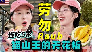 Download lagu 【Malaysia】2h from KL to Raub, hometown of Musang King! Tried 5 durian stalls in 1 day transport mp3 Download lagu 【Malaysia】2h from KL to Raub, hometown of Musang King! Tried 5 durian stalls in 1 day transport mp3