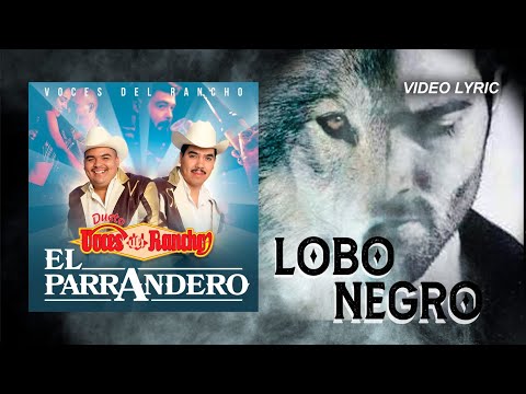 Video thumbnail for Lobo Negro