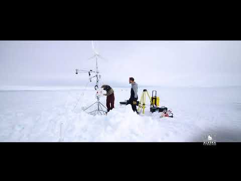 Uaf Class Search