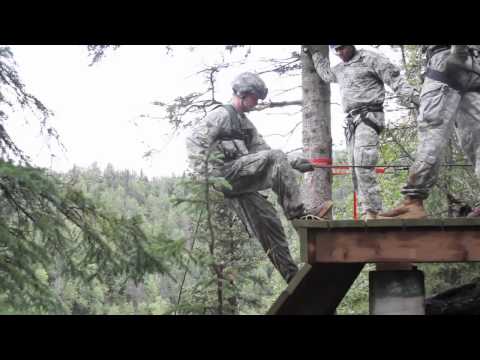 The Order of the Arctic Sapper