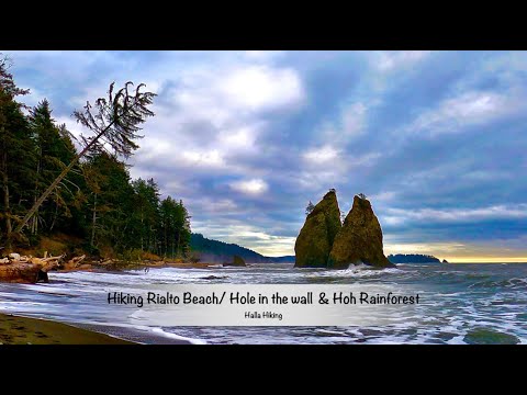 Hiking Rialto Beach/ Hole in the wall (what to expect coming from Seattle)