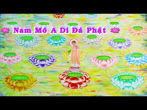 HD | Kinh A Di Đà Sớ Sao Diễn Nghĩa, tập 203 [phụ đề] - Lão Pháp Sư Tịnh Không