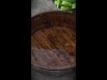 Lettuce Longevity Fresh All Year With Simple Drying Tips