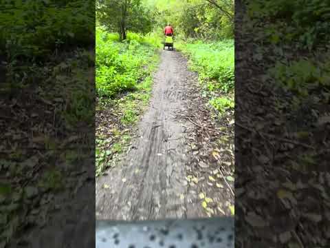 1.10.22 Qeridoo sportrex 1. Bicycle trailer passability