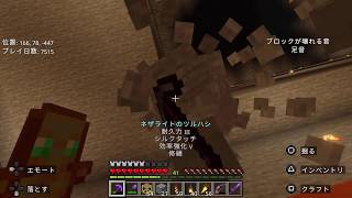 【MINECRAFT】