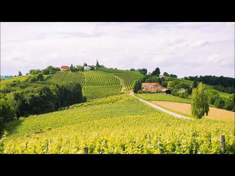 Ansambel Zasavci  - Zjutraj domov