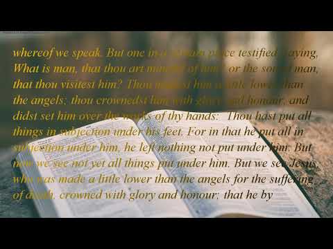 The Holy Bible | book 58 - Hebrews - Chapter 02