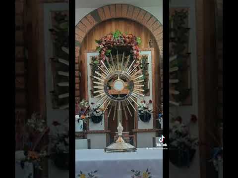 Amor de los amores ❤️#fe