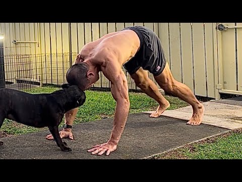 82 Slow Burpees x 11 Minutes - New Year’s Eve Workout - December 31, 6:03 pm 2025