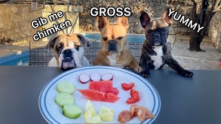 Three Hungry Bulldogs Reviewing Food