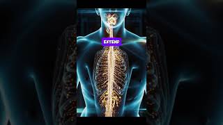 Humans Could Be Immortal by 2030… Thanks to AI