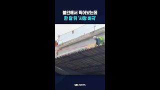 불안해서 찍어놨는데..한 달 뒤 '사망' #shorts