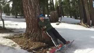 Slush Surfing at Sierra