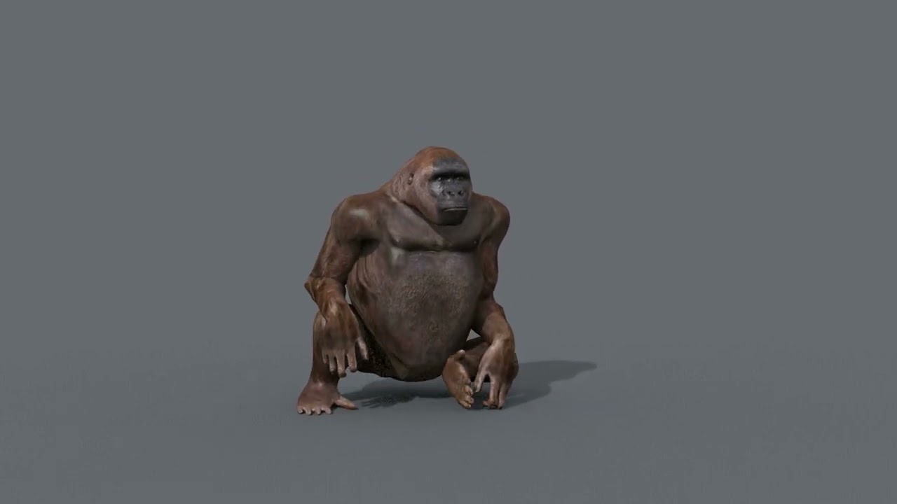 Gigantopithecus 8K- 3d animated 3D Model