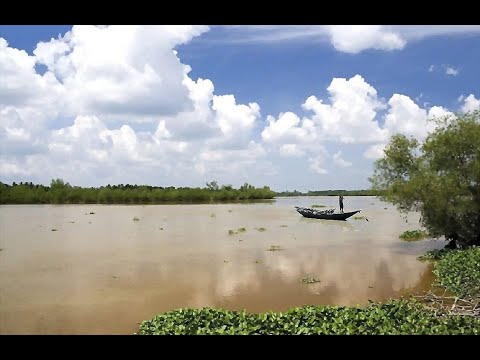Bèo dạt mây trôi - Hoà tấu