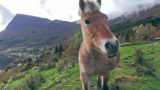 preview picture of video 'Opplev Hyllestad: Lifjorden'