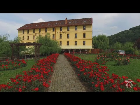 Moara cu Noroc Update