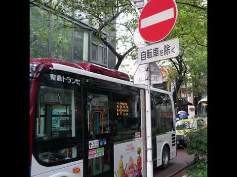 Video thumbnail for FOREVER FREESTYLE