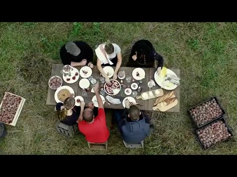 FRAG DEN ULF - Wajos - Roter Weinbergpfirsich Ernte