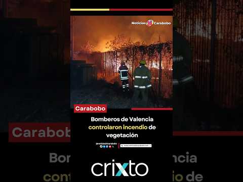 Bomberos de Valencia controlaron un incendio de vegetación al sur de la ciudad