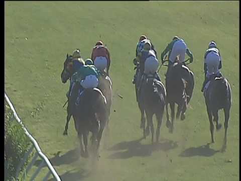 Galoppo 31/05/2017 - 5ª corsa