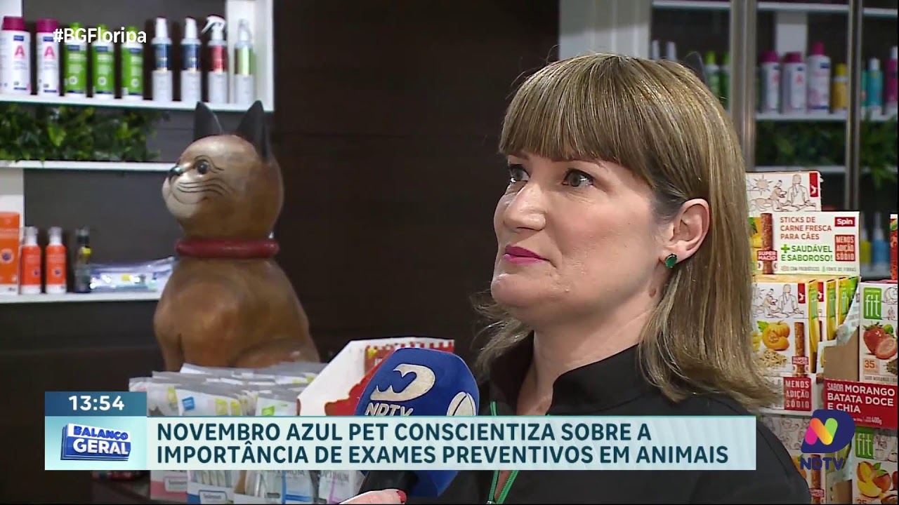 AO VIVO: Balanço Geral Florianópolis | 11/11/2024 | NDTV RECORD