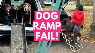Dog Ramp vs. Stairs: What's the Safer Choice for Your Senior Pup?