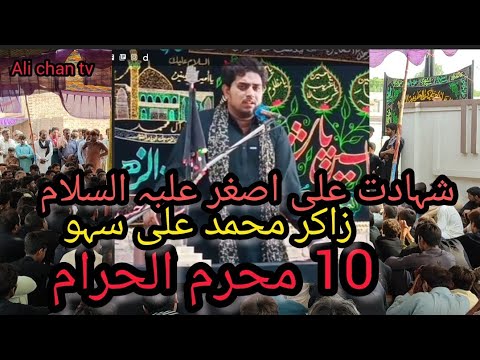 زاکر محمد علی سہو