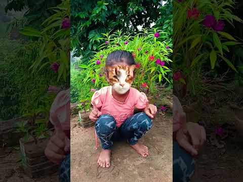 ঢিংকা চিকা ঢিংকা চিকা #short #trending #video