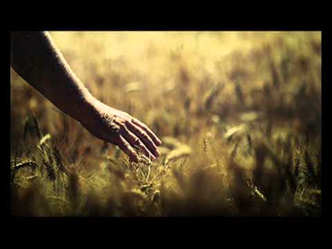 download lagu mp3 mp4 Zucchabar, download lagu Zucchabar gratis, unduh video klip Zucchabar
