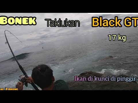 Black GT 17kg  takluk di tangan Bonek Persebaya