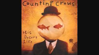 &quot;Rain king&quot; (including &quot;Thunder road&quot;) - Counting Crows (live)