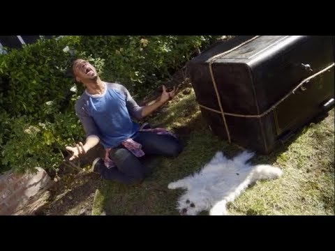 A Haunted House 2 - Dog scene