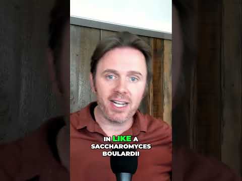 3 Probiotics Your Gut NEEDS for Maximum Health!