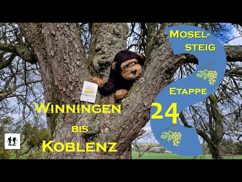 #Moselsteig, Etappe 24: Von Winningen nach Koblenz