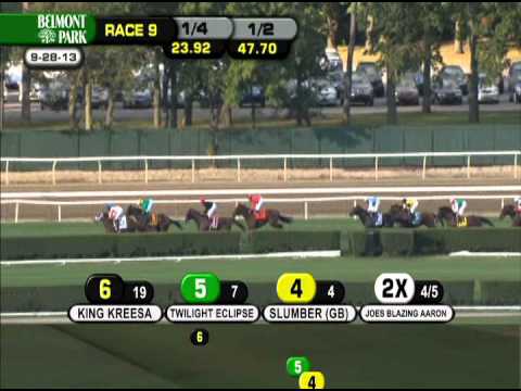 Little Mike - 2013 Joe Hirsch Turf Classic(G1)