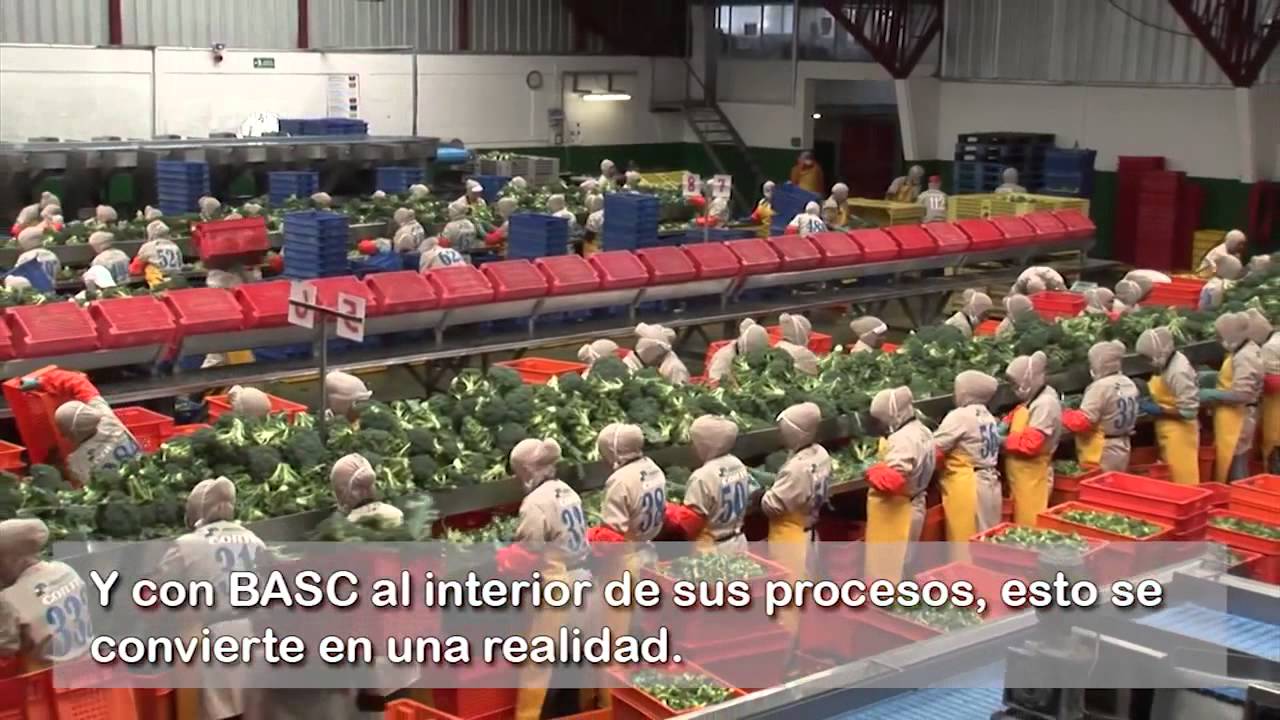 Business Alliance for Secure Commerce