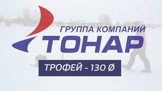 Ссылка