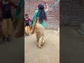 देसी लोकगीत ढोलक पर डांस