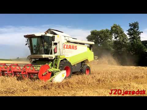 Harvest - Claas Lexion 440 (from Austria)