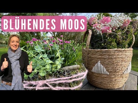 Natürliche Moosarrangements für ein blühendes Zuhause????blühendes Moos mit Schnittblumen&Topfpflanzen