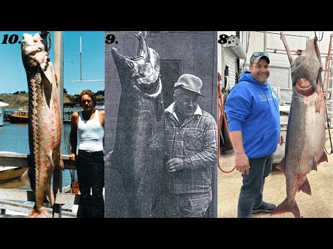The 10 BIGGEST FRESHWATER Fish Ever Caught