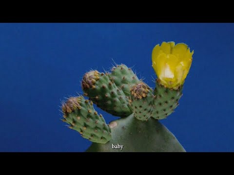 El Tee - Baby (Official Video)