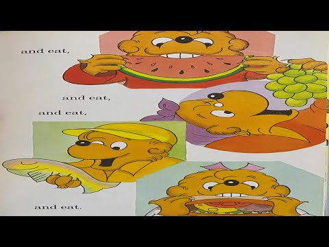 The Berenstain Bears Family Get   together