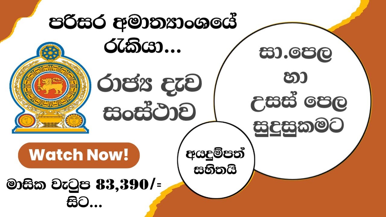 Latest Government Job Vacancies | Shan Creation | STC | Jobs 2025 | State Timber Corporation | Jobs